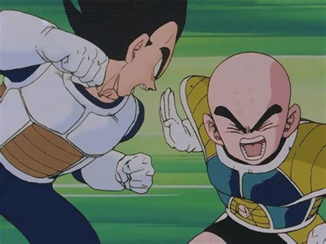 Theory Is Krillin Really Is The Best Fighter In Dragon Free Nude