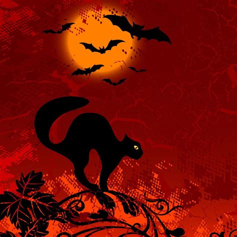 Black Cat And Bats Halloween Ipad Wallpaper Halloween Wallpaper