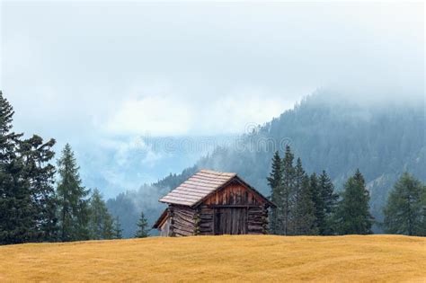 Autumn Meadow In Front Of A Barn In The Italian Alps Covered With Dense