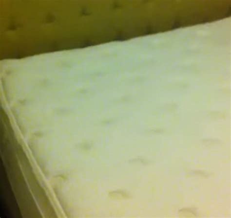 New York Hotel Guest Films Horrifying Bed Bug Infestation Video