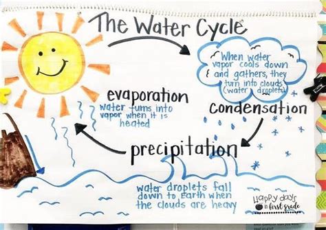 The Water Cycle Anchor Chart Evaporation Condensation And