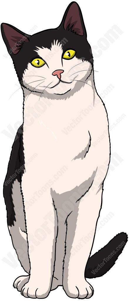 Cartoon cat step by step drawing lesson how to draw learn how to draw a cartoon cat one that s sitting and viewed from the side white and grey like a himalayan type in this. Black And White Cat Sitting And Looking Ahead | Cat with ...