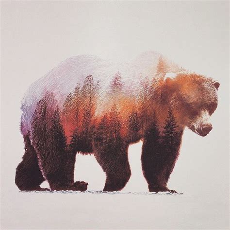 Watercolours Painting Of Forest Bear Brown Bear Art Bear Art Brown
