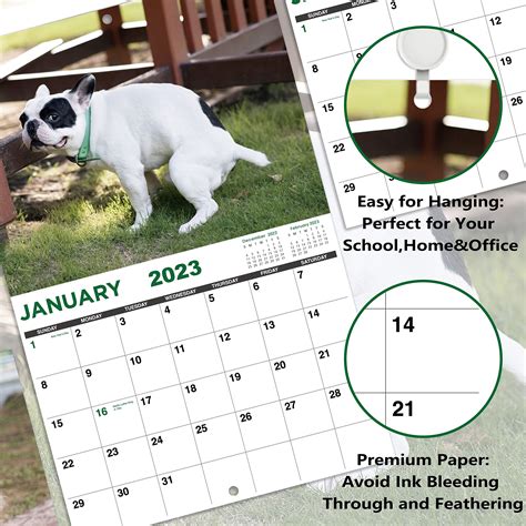 Buy 2022 2023 Calendar Pooping Dogs Wall Calendar 2022 2023 From July