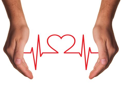 Heart Care Medical · Free Image On Pixabay