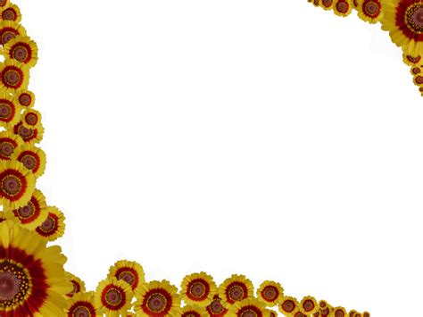 Sunflower Border Png Isolated Photos Png Mart
