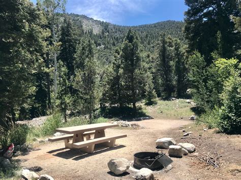 Great Basin National Park Campgrounds Pet Friendly Travel