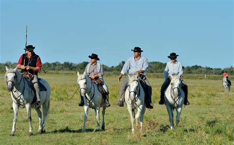 Horse Riding In The Camargue Telegraph Travel