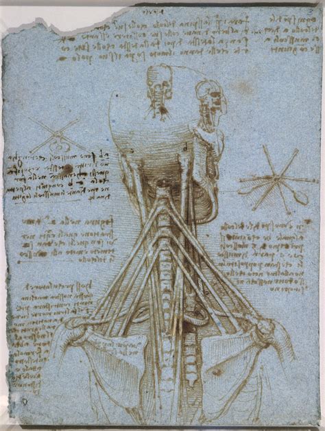 Body Maps Leonardo Da Vincis Anatomical Drawings Flashbak
