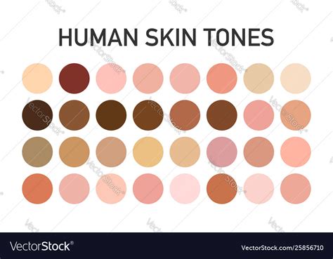 Skin Tone Color Chart Human Skin Texture Color Vector Image On Colors