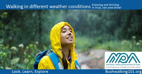 Walking In Different Weather Conditions Bushwalking 101