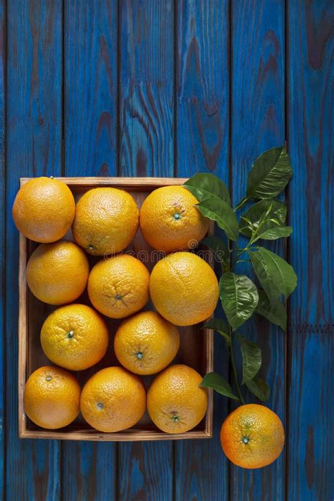 Orange Oranges Healthy Eating Phantom Blue Citrus Sinensis Blood