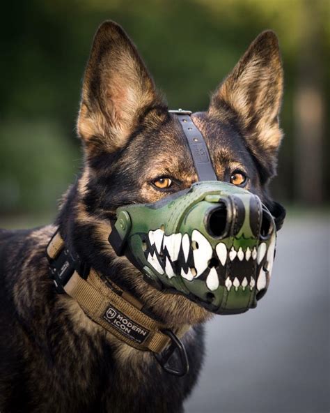 Custom Painted Muzzle Working Dog Dry Goods