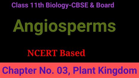 Angiosperms Class 11th Biologyncert Youtube