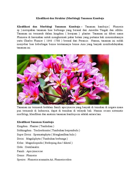 Struktur bunga melati.buang bunga atau kuncup bunga yang terpakai dari ujung potongan. Terkeren 17+ Gambar Struktur Bunga Kamboja - Gambar Bunga ...