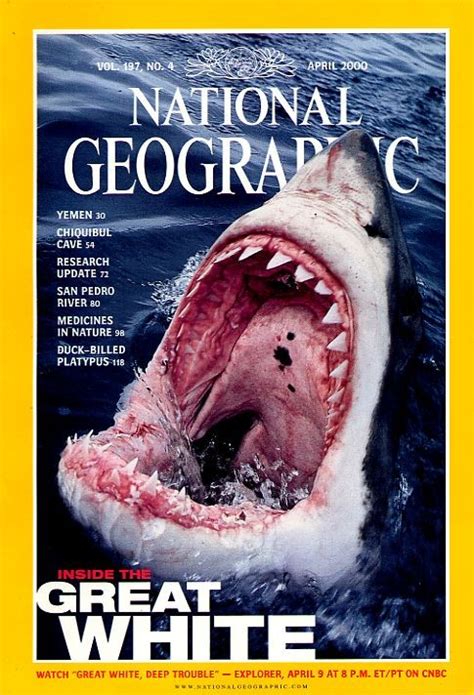 National Geographic Back Issues Magazines Books Maps And More