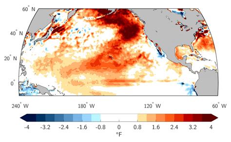 Weak Winds In The Pacific Drove Record Breaking 2019 Summertime Marine