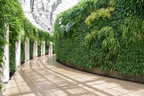 Best 25 Living Walls Vertical Gardens Ideas Vertical Garden Living