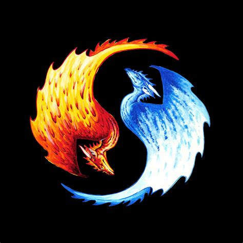 3) unique feathered angel wings yin yang art. Yin Yang Dragon Fantasy T-shirt Men s Unisex | Game of ...