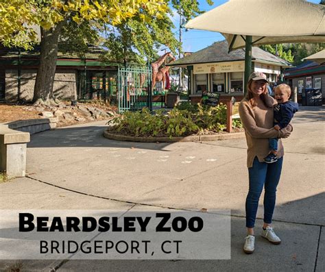 Katie Wanders Visiting The Beardsley Zoo Bridgeport Ct