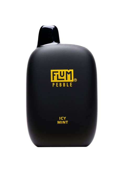 Flum Pebble 6000 Icy Mint | GetPop