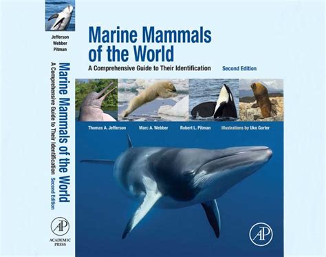 Marine Mammals Of The World A Comprehensive Guide To Their