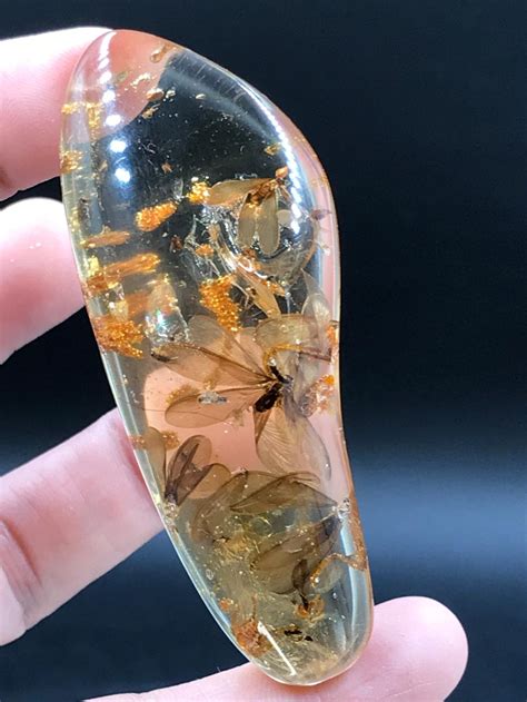 Sold Price Amber Fossil Natural Collectible Specimen April 2
