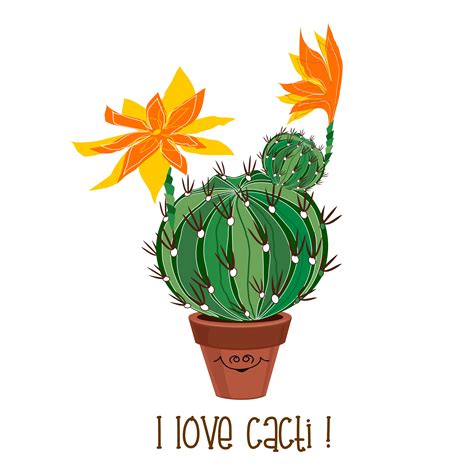 Round Blooming Cactus Cacti In A Pot Vector Illustration 600957