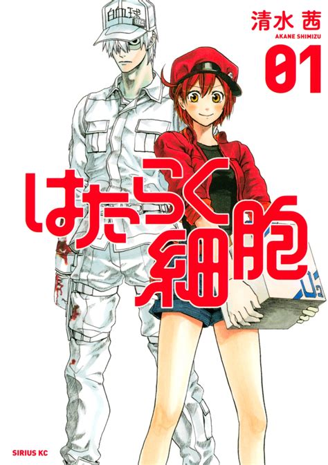 El Manga Hataraku Saibou Tendrá Un Nuevo Capítulo En Octubre Somoskudasai