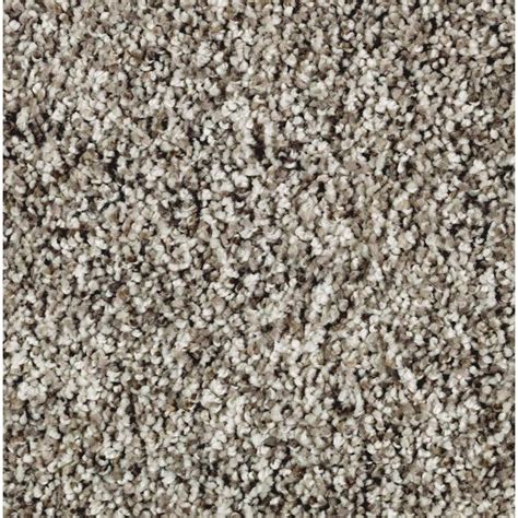 Stainmaster Essentials Lasting Softness Ii Taupe Whisper Carpet Sample
