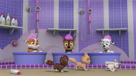 Watch Paw Patrol Pups Save Katie And Some Kitties Pups Save A Helo