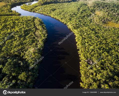 View Of River In Rainforest — Stock Photo © Gustavofrazao 138493888