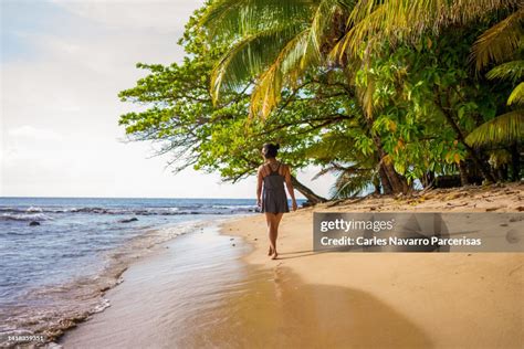 Woman Walking On A Tropical Beach High Res Stock Photo Getty Images