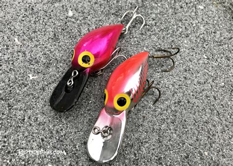 10 Amazing Lures For Coho Salmon In Rivers