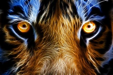 Eyes Of The Tiger Art Id 63697 Art Abyss