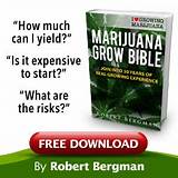 How Many Marijuana Plants Can I Grow In Colorado Images