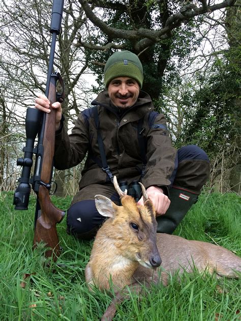 County Deer Stalking Hampshire Availability On Gunsonpegs