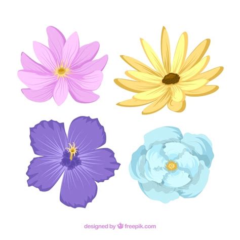 Pretty Flowers Collection In Hand Drawn Style Free Vector