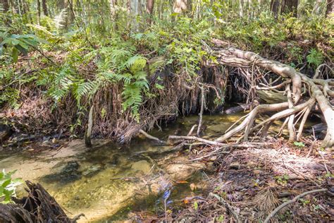 Backyard getaway's competitors, revenue, number of employees, funding, acquisitions & news. Pin de Pam Graham-All Real Estate Opt en 2480 Shelby Rd W ...
