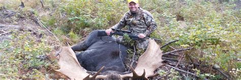 Guided Moose Hunting Trips In Maine Allagash Guide Service