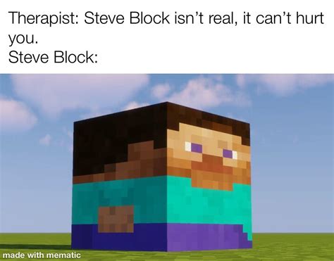 Please Get Out Of My Head Steve Block Please Rminecraftmemes
