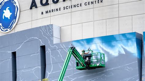 Virginia Aquarium And Marine Science Center Gets New Mural