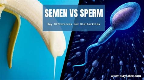 Semen Vs Sperm Whats The Key Differences And Similarities