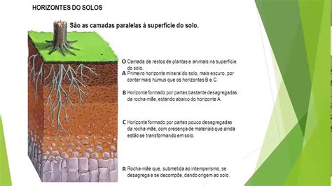 Fatores De Formacao Do Solo