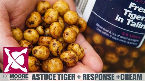 Ccmoore France Astuce Tigers Nuts Xxl Et Response Cream P Che La