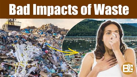 Health And Environmental Impacts Of Wastes Btv Facts Youtube