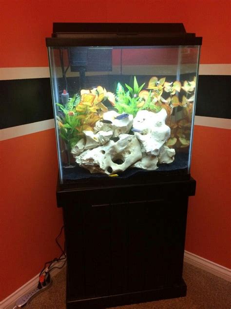 30 Gallon Tank Kit Rin Aquarium Fish