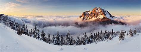 Mountains With Snow And Tress Winter Trees Landscape Mountains Hd