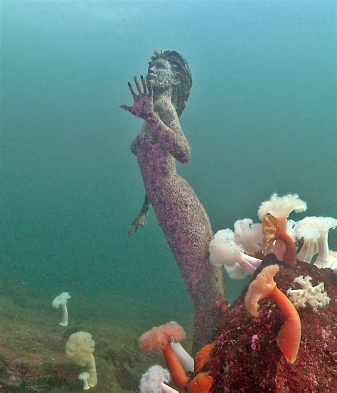 Emerald Princess Mermaid Statue Saltery Bay Canada Mermaids Of Earth