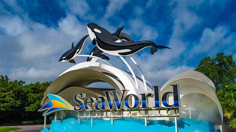 Seaworld Parks Reopen In Florida With Masks Temperature Checks Nbc 7 San Diego